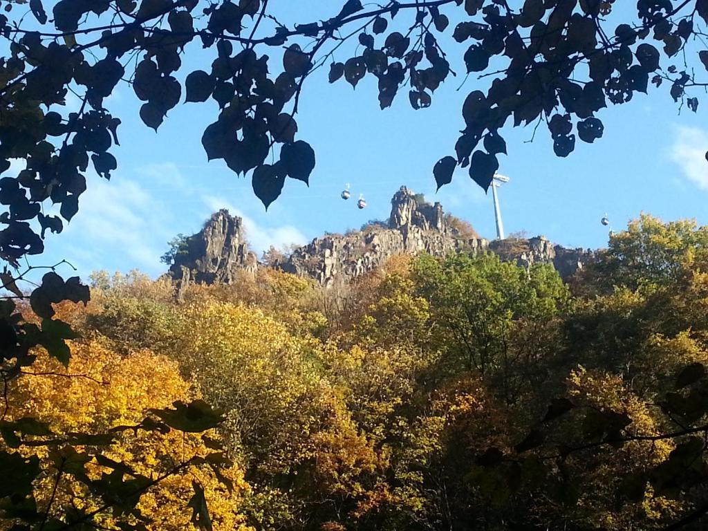 Hotel Garni Haus Sonneneck Thale Buitenkant foto